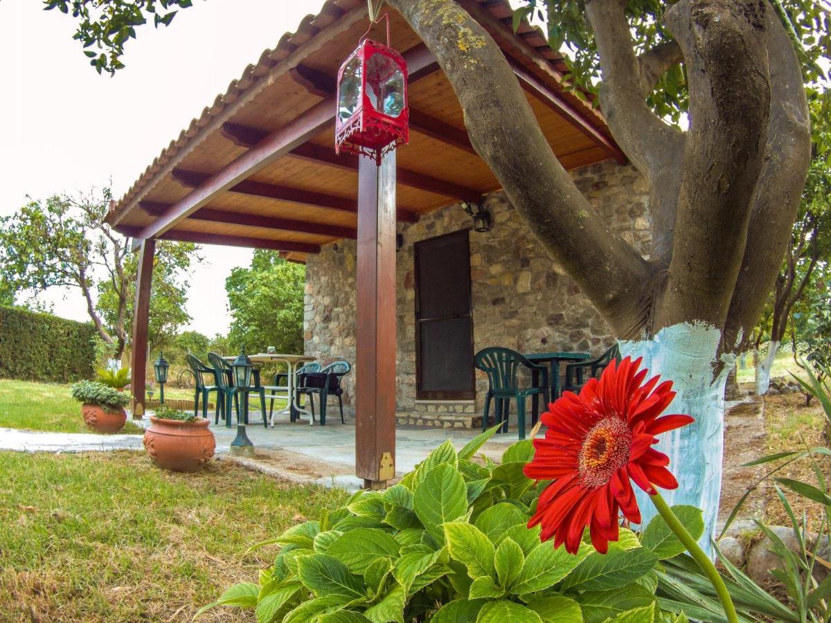 Patras Stonehouse With Large Yard - Πέτρινο Σπίτι Με Αυλή Villa Paralía Exterior photo