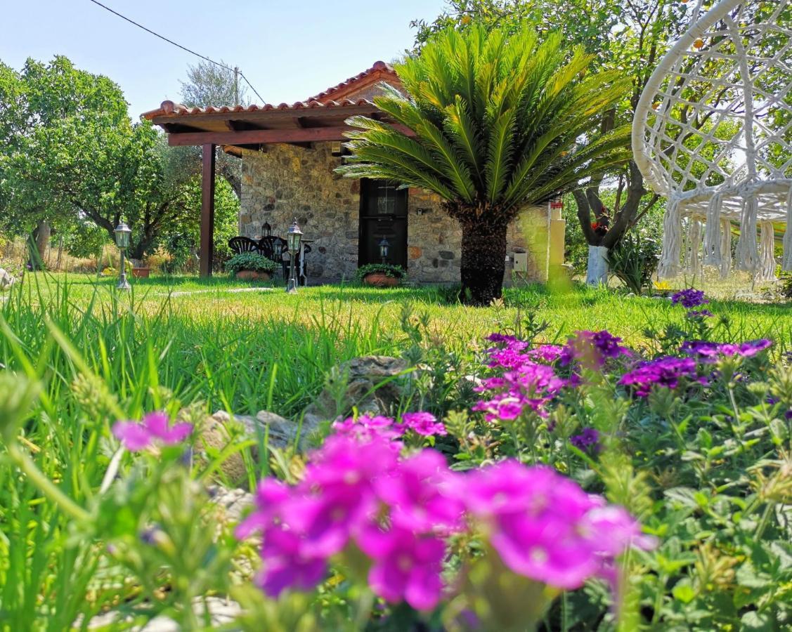 Patras Stonehouse With Large Yard - Πέτρινο Σπίτι Με Αυλή Villa Paralía Exterior photo